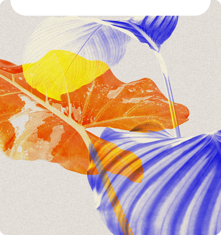 IA que analiza imágenes para recreación artística