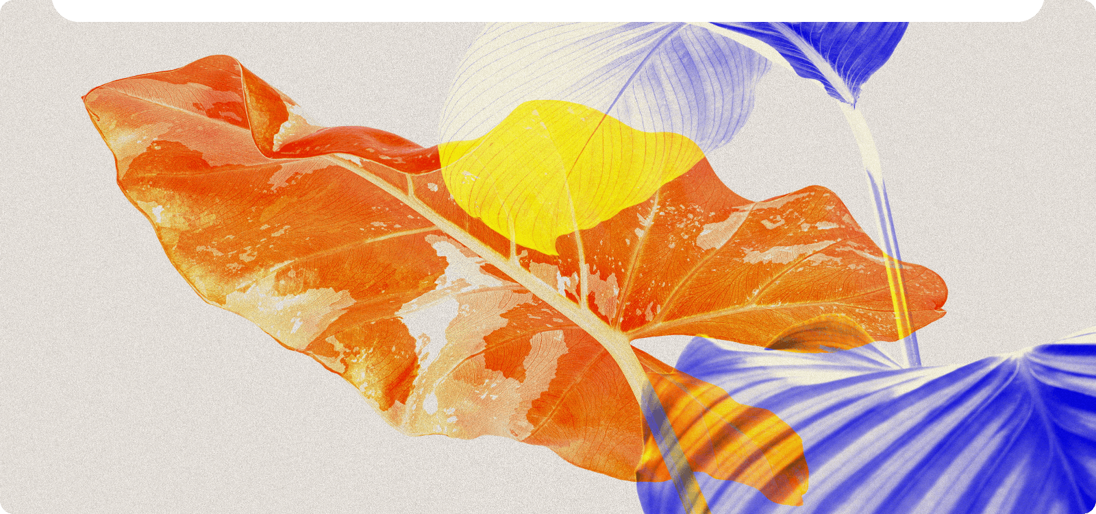 IA que analiza imágenes para recreación artística